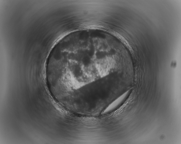 X0000100201031200806131225