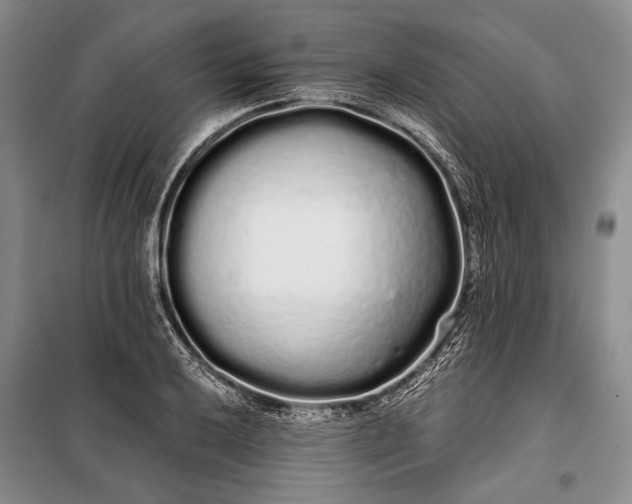 X0000100201032200806131225