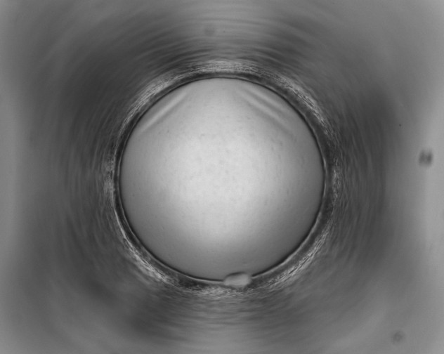 X0000100201033200806131225