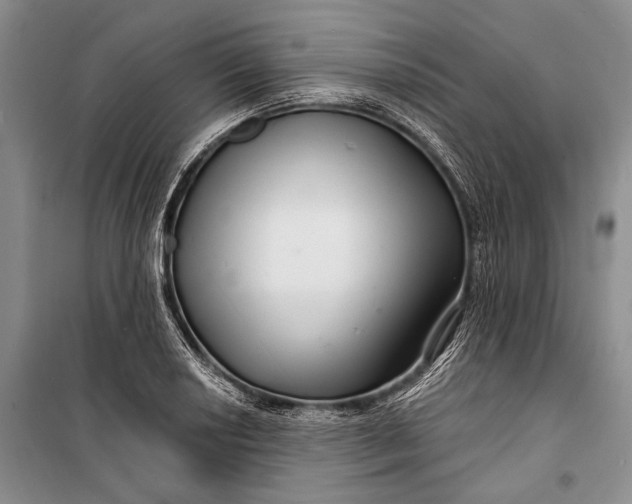 X0000100201034200806131225