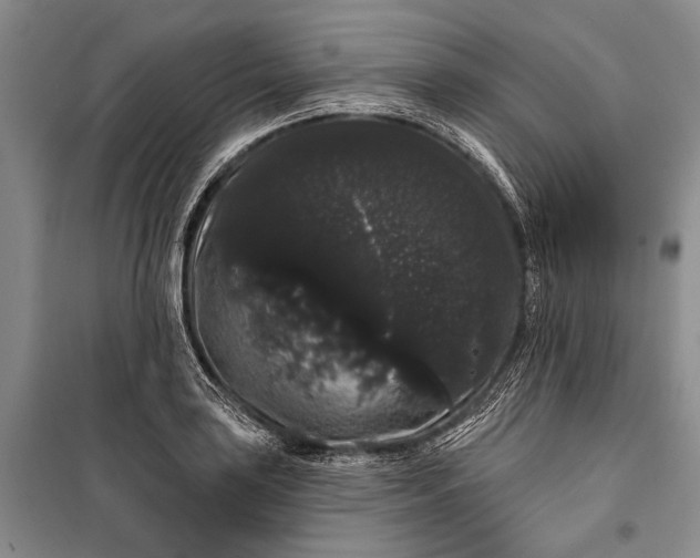 X0000100201035200806131225