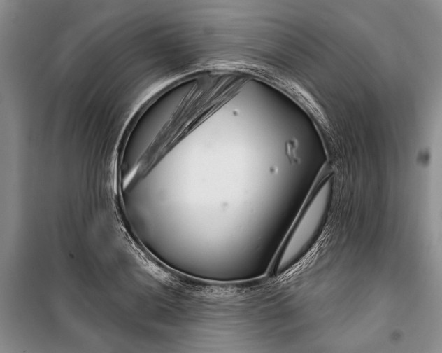 X0000100201036200806131225