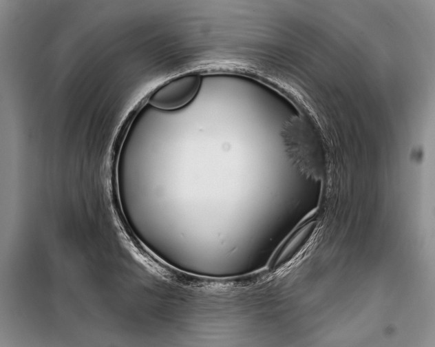 X0000100201038200806131225