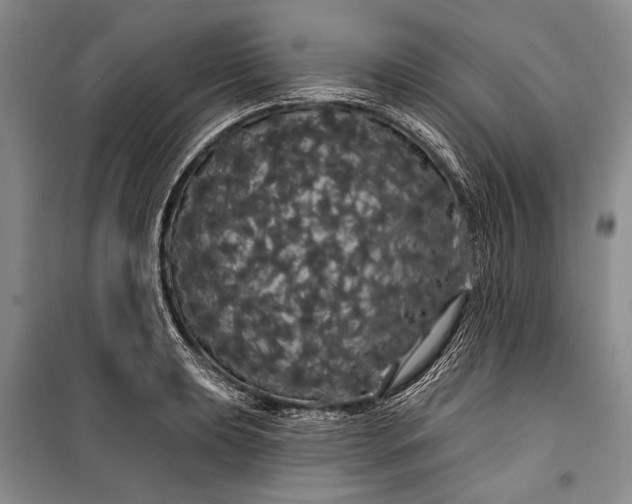 X0000100201039200806131225