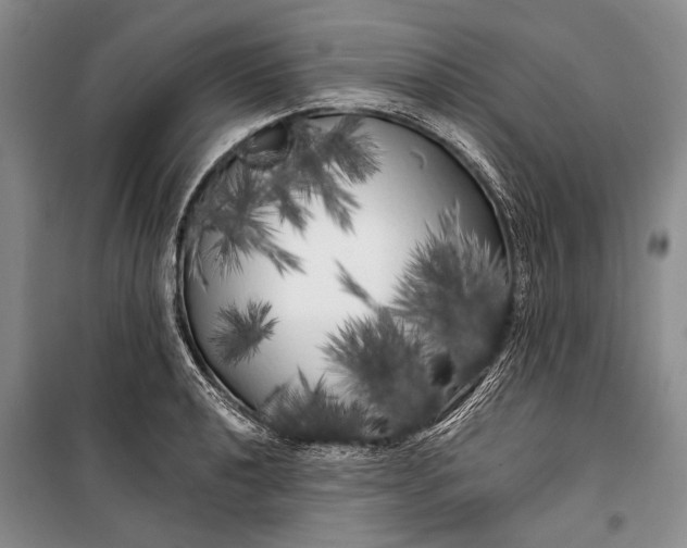 X0000100201040200806131225