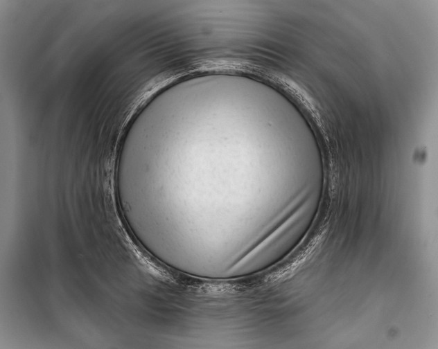 X0000100201041200806131225