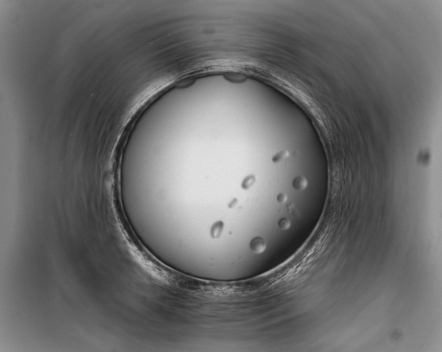 X0000100201042200806131225