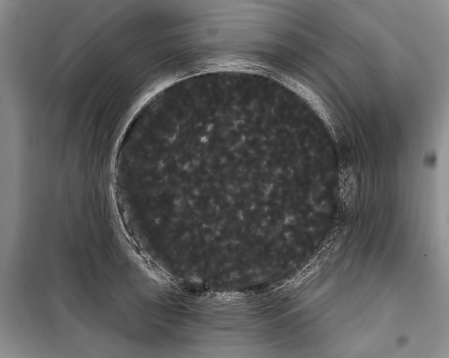 X0000100201043200806131225