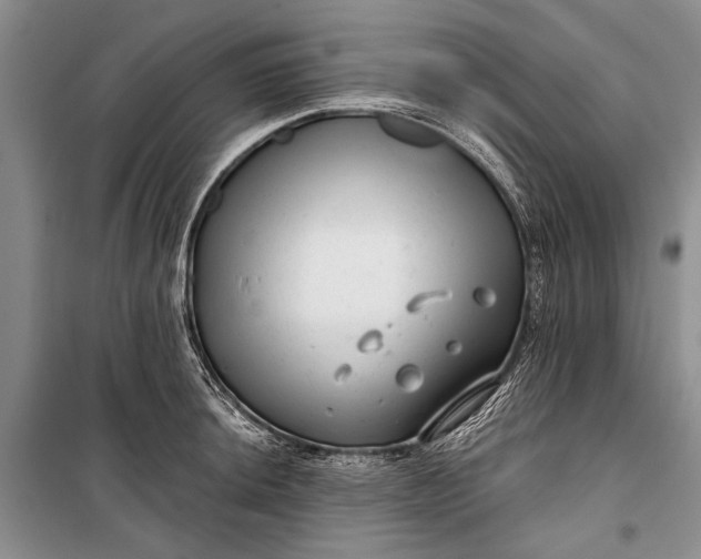 X0000100201044200806131225