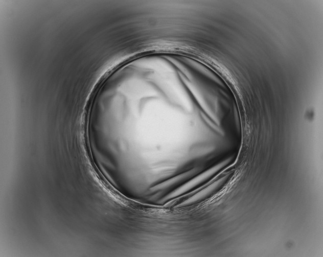 X0000100201045200806131225