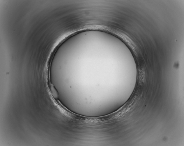 X0000100201046200806131225