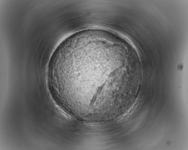 X0000100201048200806131225