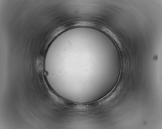 X0000100201049200806131225