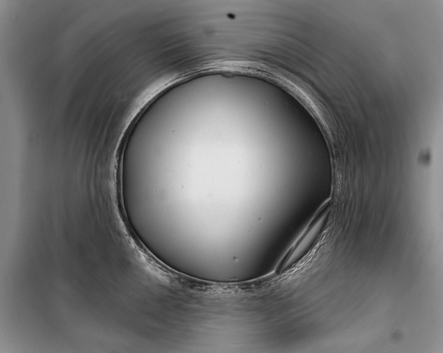 X0000100201050200806131225