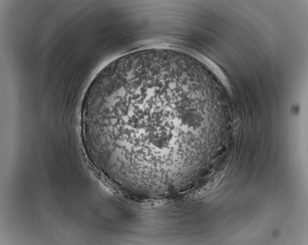 X0000100201051200806131225