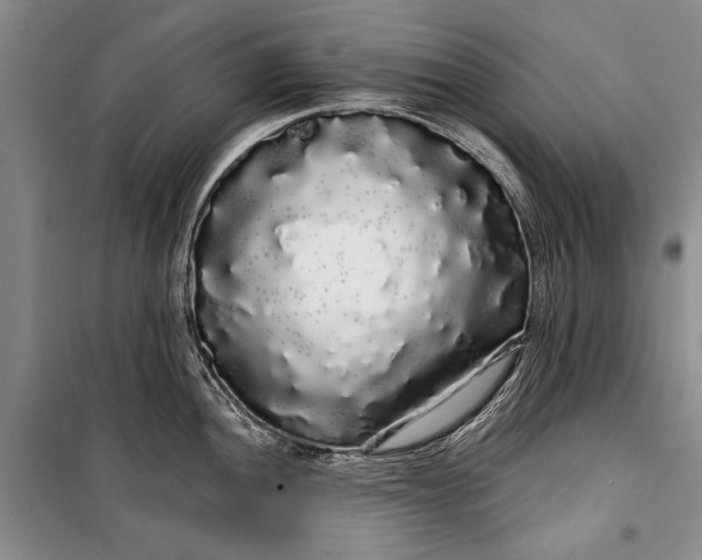 X0000100201052200806131225