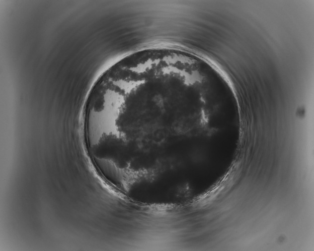 X0000100201053200806131225