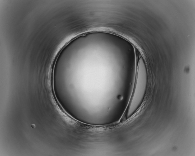 X0000100201054200806131225