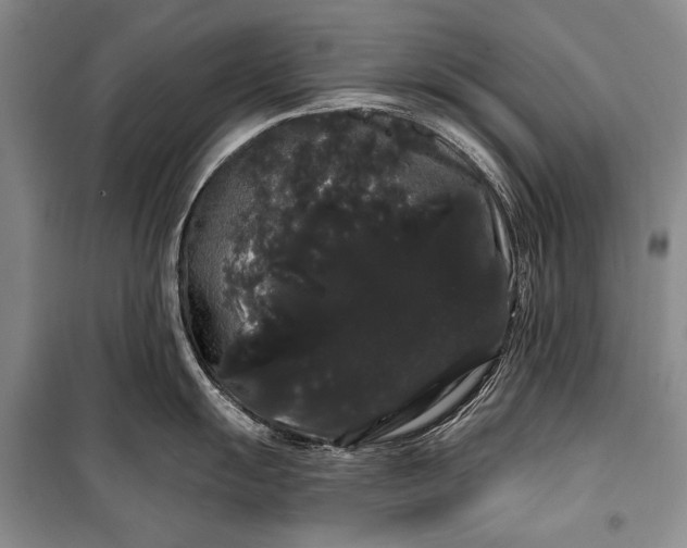 X0000100201055200806131225