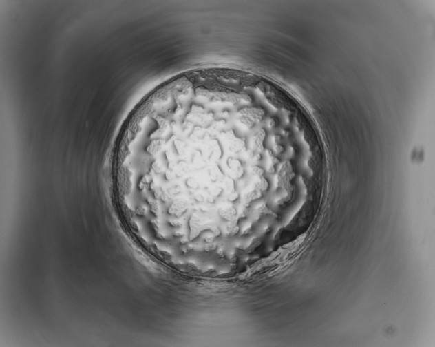 X0000100201056200806131225