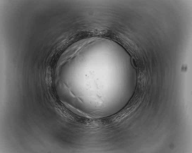 X0000100201058200806131224