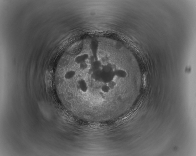 X0000100201059200806131224