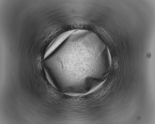 X0000100201060200806131224