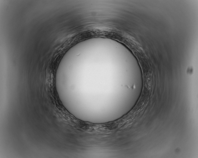 X0000100201061200806131224