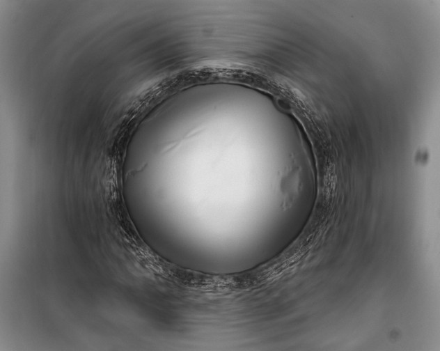 X0000100201062200806131224