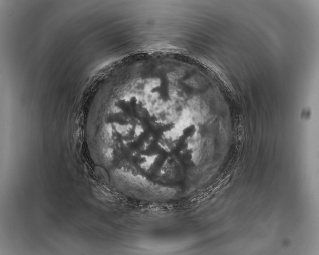 X0000100201063200806131224