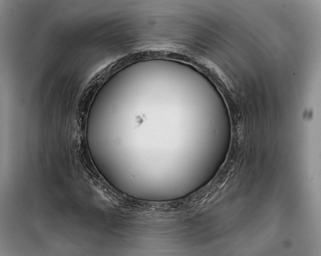 X0000100201064200806131224