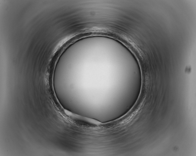 X0000100201066200806131224