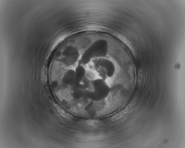 X0000100201067200806131224