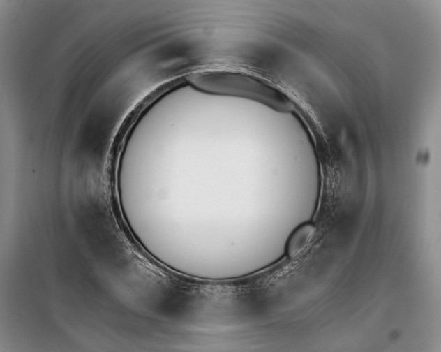 X0000100201068200806131224