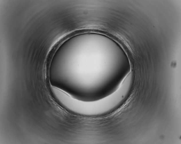 X0000100201069200806131224