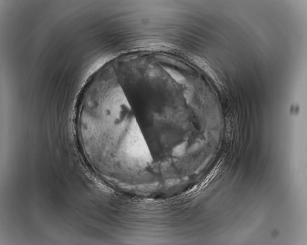 X0000100201071200806131224