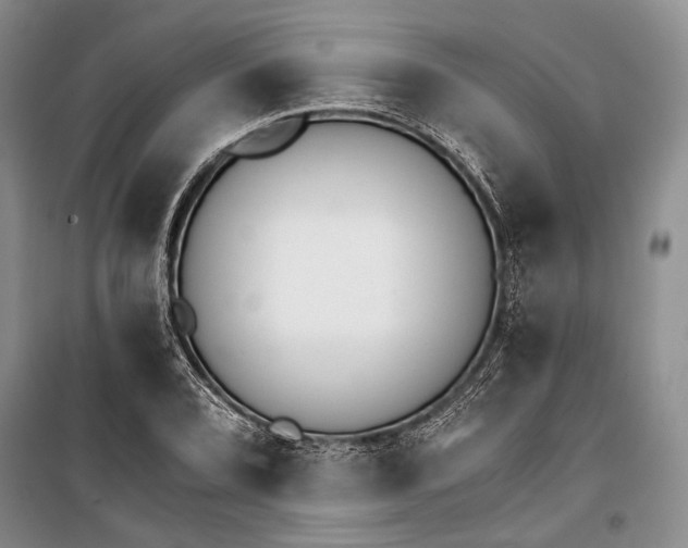 X0000100201072200806131224