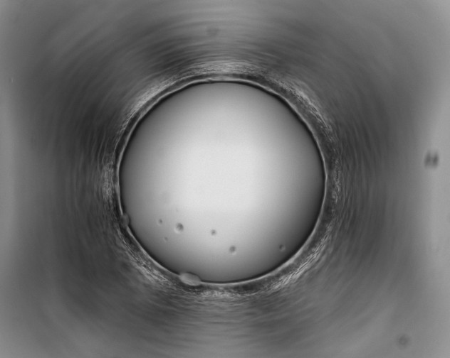 X0000100201073200806131224