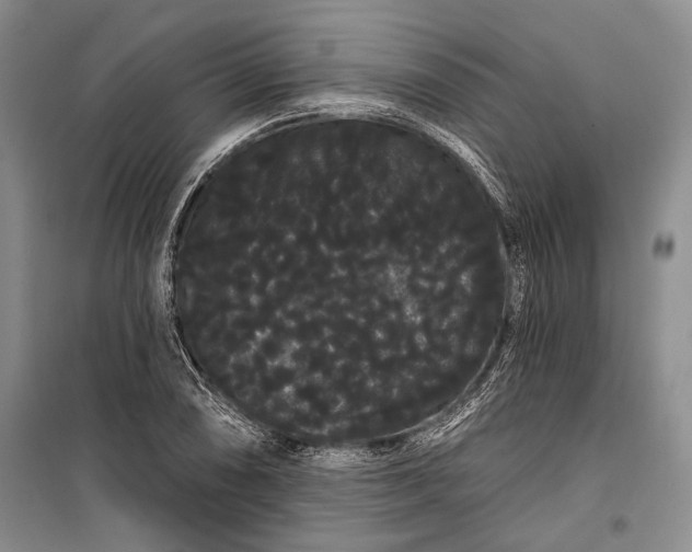 X0000100201074200806131224