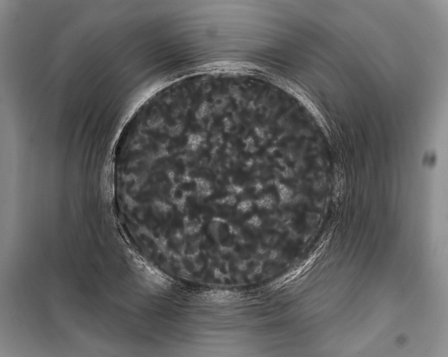 X0000100201075200806131224