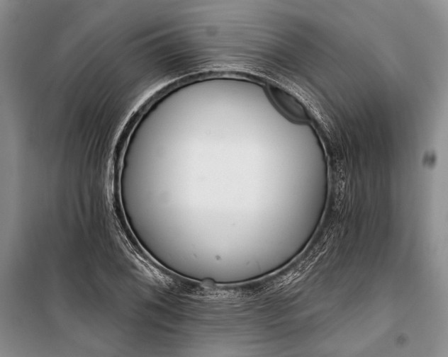 X0000100201076200806131224