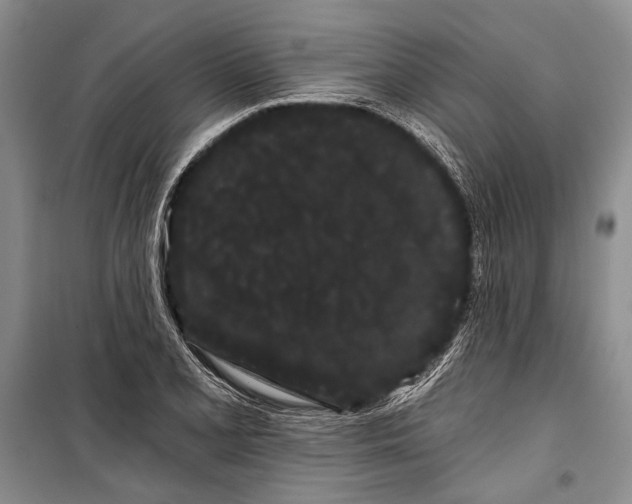 X0000100201077200806131224