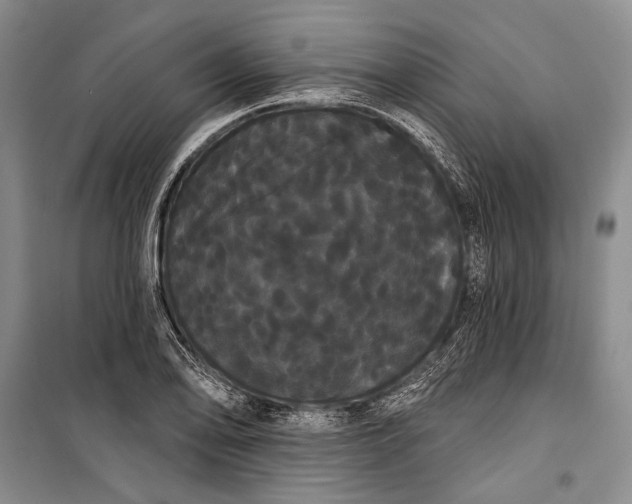 X0000100201078200806131224