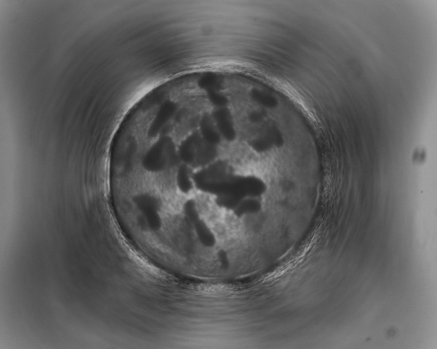 X0000100201079200806131224