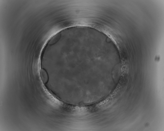 X0000100201080200806131224