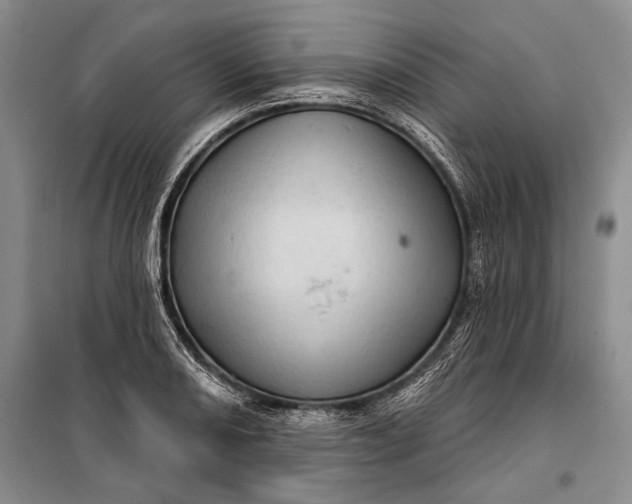 X0000100201082200806131224