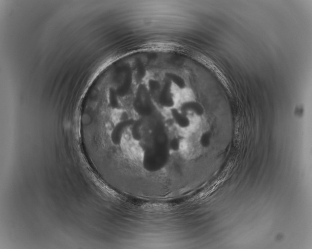 X0000100201083200806131224