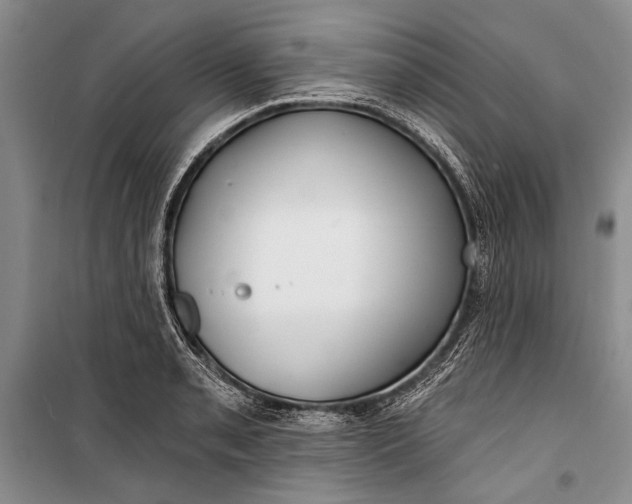 X0000100201085200806131224