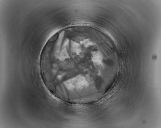 X0000100201087200806131224