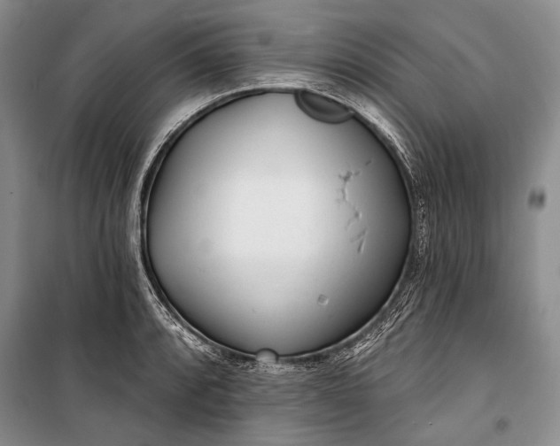 X0000100201088200806131224